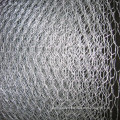 Hexagonal Mesh